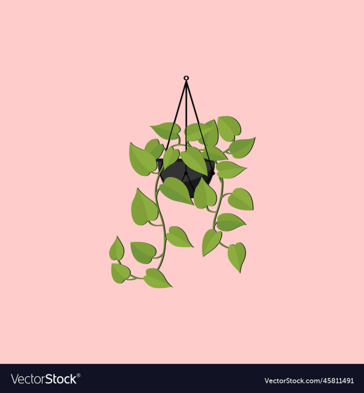 vectorstock,Plant,Floral,Decorative,Tree,Forest,White,Background,Design,Jungle,Garden,Leaves,Nature,Branch,Leaf,Spring,Tropical,Natural,Green,Fresh,Exotic,Foliage,Decoration,Isolated,Freshness,Growth,Botany,Botanical,Houseplant,Monstera,Bush,Pattern,Flower,Summer,Home,Ornamental,Flora,Wild,Palm,Dark,Environment,Texture,Beautiful,Shrub,Flowerpot,Tropic,Greenery,Rainforest,Indoors,Growing,Philodendron