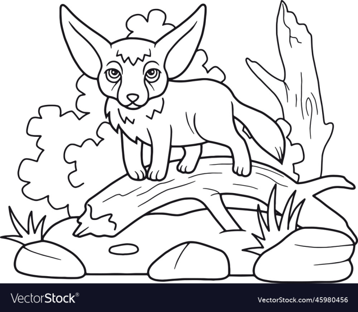 coloring page,Animal,vectorstock,Fox,Fennec,Nature,Animals,Contour,Monochrome,Coloring,Book,For,Children,Wild,Life,Design,Drawing,Picture,Cute,Funny,Illustration,Page