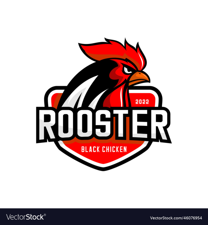 vectorstock,Rooster,Angry,Animal,Bird,Logo,Black,Background,Red,Design,Feather,Cartoon,Silhouette,Food,Agriculture,Chicken,Farm,Element,Symbol,Character,Fowl,Head,Mascot,Poultry,Hen,Cockerel,Graphic,Vector,Illustration,Face,Vintage,Sport,Restaurant,Farming,Template,Egg,Wing,Wild,Fight,Cute,Team,Creative,Cook,Strong,Easter,Chick,Rustic,Farmer
