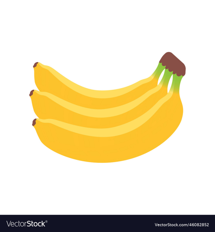 Fresh ripe delicious organic bananas bunch Vector Image