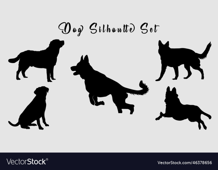 vectorstock,Dog,Silhouette,Isolated,Black,Icon,Collection,Set,Vector,Drawing,Animal,Puppy,Labrador,Graphic,Art,Background,Design,Outline,Pet,Sitting,Standing,Domestic,Boxer,Bulldog