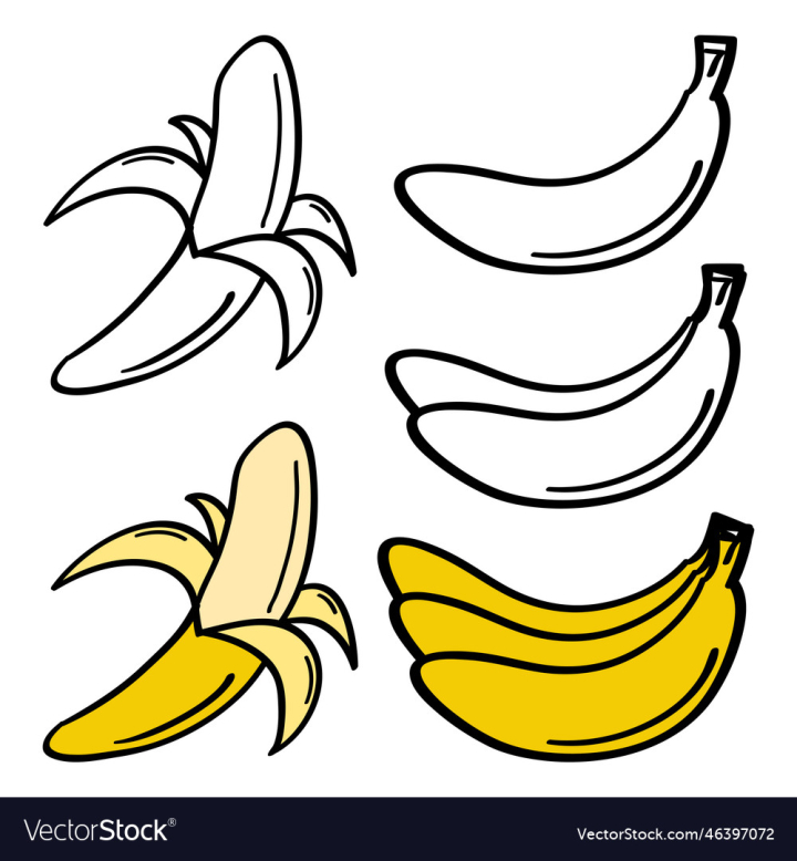 vectorstock,Icon,Banana,Drawn,Hand,Food,Bananas,Design,Natural,Organic,Fresh,Fruit,Doodle,Sweet,Set,Isolated,Healthy,Diet,Vitamin,Vegetarian,Vector,Illustration,Drawing,Nature,Cartoon,Tropical,Health,Collection,Nutrition,Graphic,Art