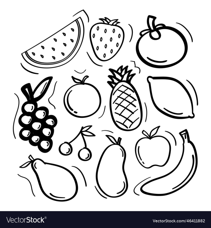 vectorstock,Icon,Collection,Drawn,Hand,Food,Doodle,Apple,Design,Drawing,Ink,Garden,Fresh,Cherry,Fruit,Banana,Health,Set,Isolated,Lemon,Healthy,Grape,Diet,Citrus,Mango,Graphic,Illustration,Art,Sketch,Vintage,Outline,Pen,Object,Tropical,Natural,Orange,Organic,Pear,Pineapple,Strawberry,Nutrition,Vitamin,Vegetarian,Peach,Watermelon,Vector