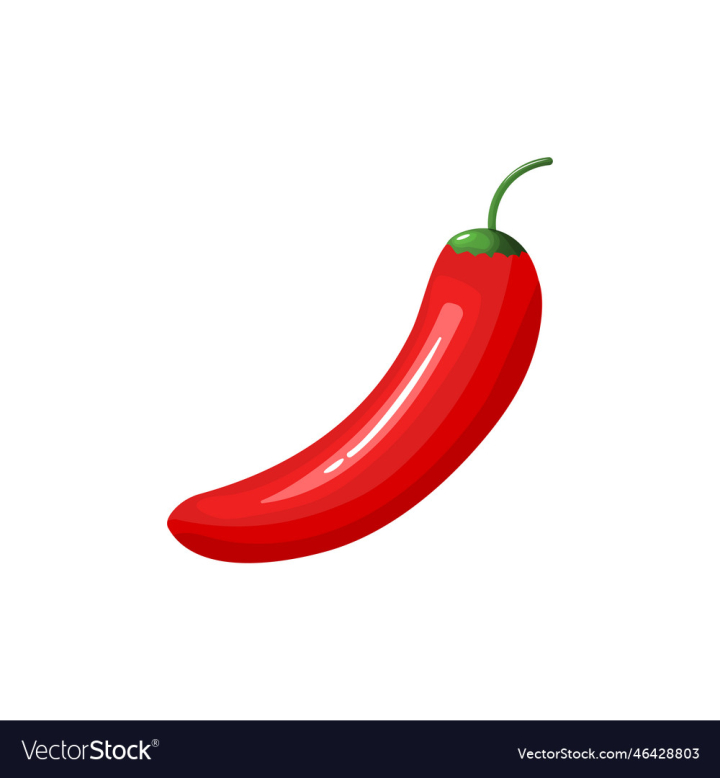 vectorstock,Red,Pepper,Chili,Hot,White,Food,Isolated,Peppers,Green,Fresh,Vegetable,Ingredient,Spicy,Spice,Paprika,Chilli,Object,Organic,Cooking,Heat,Cook,Healthy,Diet,Closeup,Vegetarian,Ripe,Cayenne