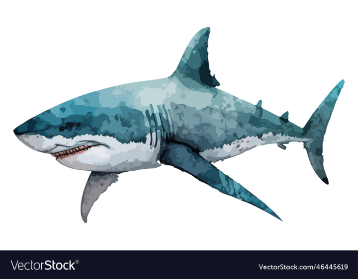 vectorstock,Shark,Watercolor,Ocean,Sea,Animal,Art,Vector,Sketch,Abstract,Design,Water,In,Drawing,Tail,Fish,Artwork,Elements,Illustration,Creative,Drawings,Hand,Tattoo,Painting,Whale,Baby,Cute