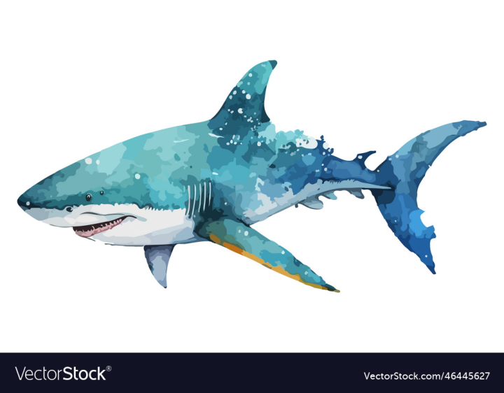 vectorstock,Shark,Watercolor,Ocean,Sea,Animal,Art,Vector,Sketch,Abstract,Design,Water,In,Drawing,Tail,Fish,Artwork,Elements,Illustration,Creative,Drawings,Hand,Tattoo,Painting,Whale,Baby,Cute