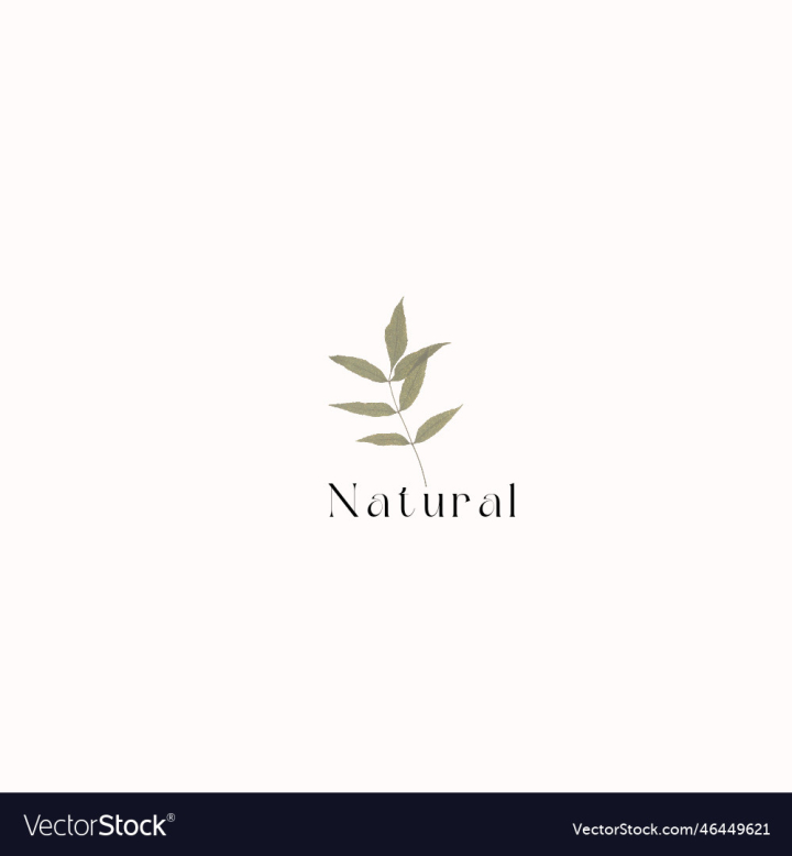 vectorstock,Logo,Natural,Leaves,Green,Logos,Leaf,Vector,Illustration,Nature,Plant,Peace
