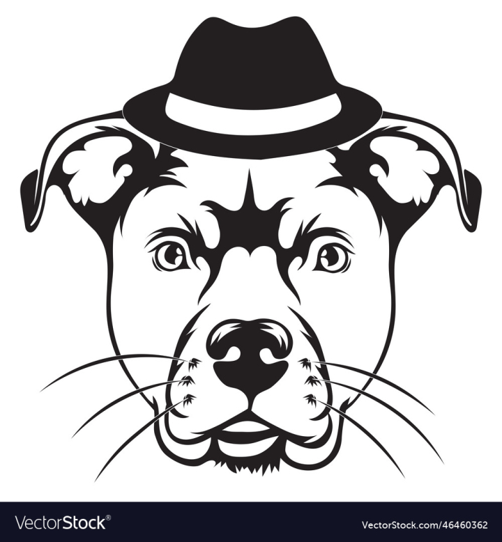 vectorstock,Dog,Hat,Animal,Pitbull,Black,White,Face,Background,Cat,Cool,Design,Drawing,Cartoon,Sign,Fashion,Flat,Symbol,Domestic,Cute,Funny,Bull,Head,Breed,Doggy,Graphic,Vector,Illustration,Art,Logo,Style,Sketch,Icon,Pet,Line,Portrait,Isolated,Mammal