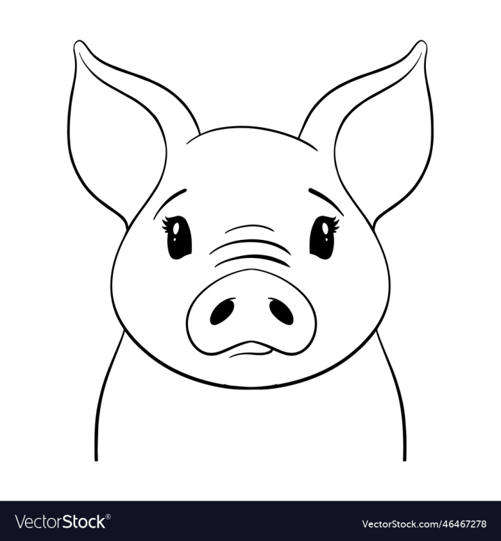 vectorstock,Pig,Animal,Cute,Face,Drawing,Pet,Cartoon,Vector,Clipart,Happy,Pink,Baby,Farm,Piggy,Smile,Head,Art