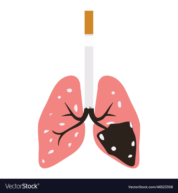 vectorstock,Day,Smoke,Tobacco,Lungs,Burn,Health,Cancer,Awareness,Unhealthy,Campaign,Diseases,No,Smoking,Warning,Death,Advertising,Breath,Infection,Graphic