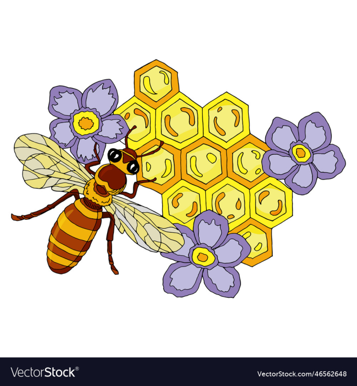Premium Vector | Bee honeycomb cells illustration