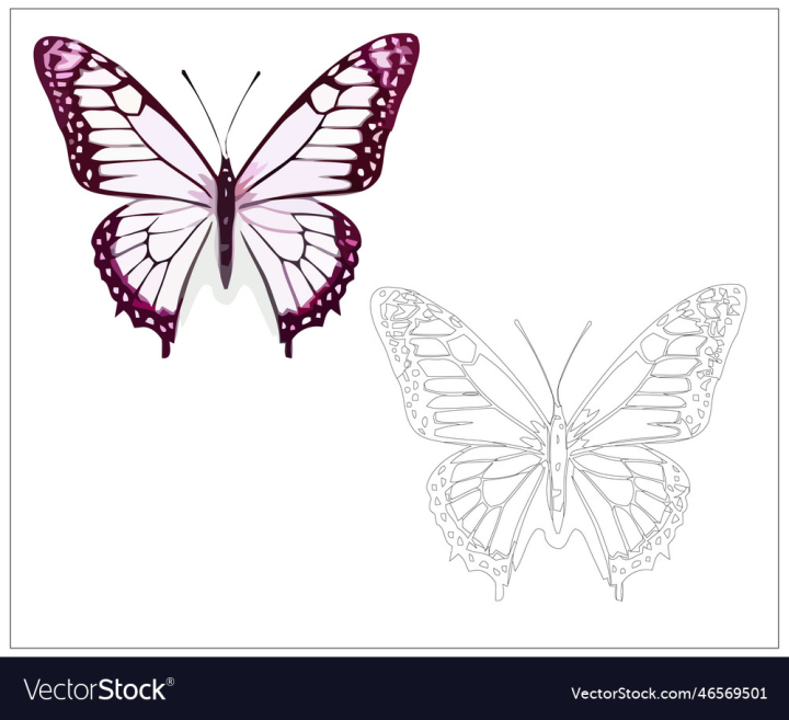 vectorstock,Art,Butterfly,Animal,Colorful,Vector,White,Background,Wallpaper,Pattern,Design,Summer,Blue,Nature,Decorative,Spring,Color,Beauty,Fly,Bright,Abstract,Insect,Wing,Decor,Decoration,Isolated,Beautiful,Illustration,Black,Seamless,Style,Light,Silhouette,Natural,Shape,Yellow,Element,Fabric,Curve,Elegant,Monarch,Creative,Collection,Set,Texture,Textile,Trendy,Graphic,Image