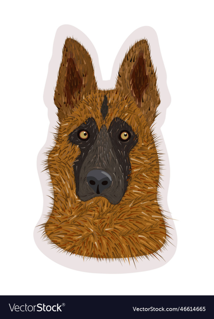 vectorstock,Isolated,Shepherd,German,Dog,Animal,Big,Domestic,Clever,Vector,Drawing,Pet,Service,Active,Fur,Protection,Friend,Adorable,Doggy,Illustration,White,Police,Security,Guard,Brown,Character,Puppy,Portrait,Head,Pup,Breed,Alsatian,Sheepdog