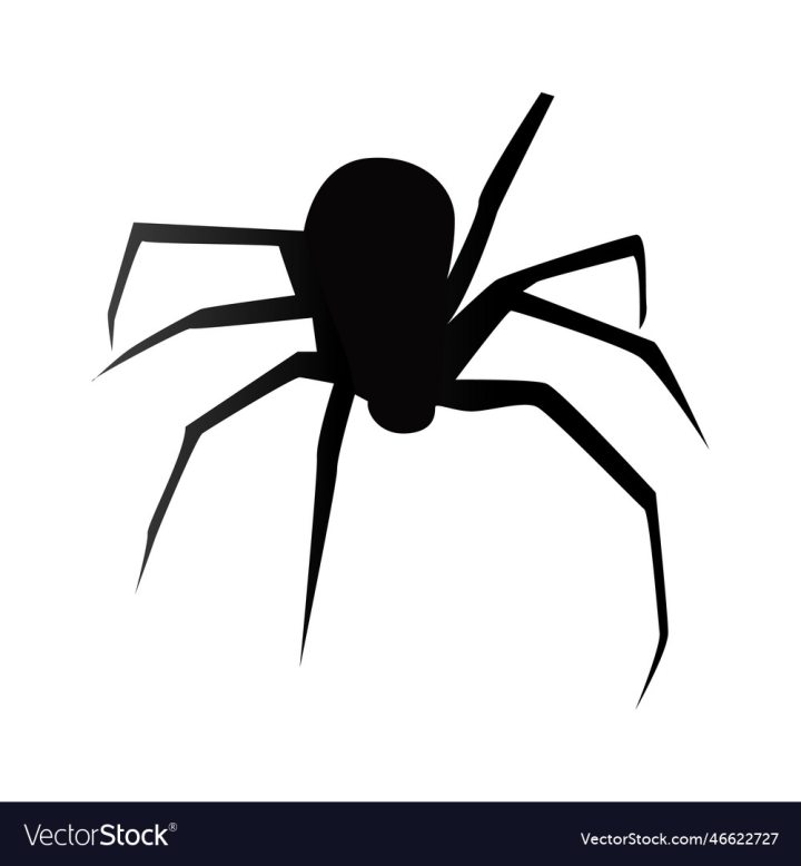 vectorstock,Black,Spider,Silhouette,Animal,Bug,Halloween,Widow,White,Background,Icon,Insect,Scary,Symbol,Creepy,Horror,Fear,Isolated,Arachnid,Dangerous,Vector,Illustration,Nature,Web,Poison,Danger,Tarantula,Phobia,Arachnophobia,Graphic,Design,Hanging,Cartoon,Sign,Template,String,Small,Spooky,Flowing,Back,Realistic,Clip,Poisonous,Monochrome,Thread,Victim,Toxic,Sacrifice,Phobias,Art,Image