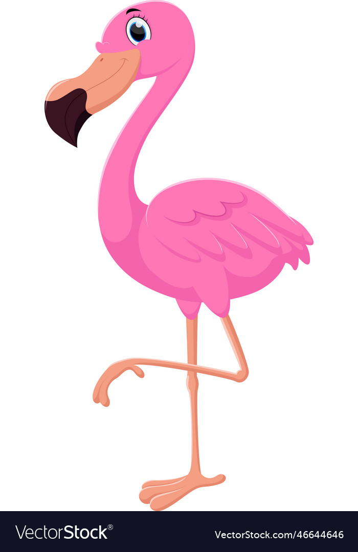 vectorstock,Cartoon,Flamingo,Isolated,White,Animal,Vector,Illustration,Bird,Comic,Happy,Design,Summer,Pink,Feather,Nature,Tropical,Beauty,Water,Zoo,Character,Cute,African,Africa,Smile,Funny,Wildlife,Leg,Stand,Long,Wing,Wild,Exotic,Big,Beak,Fowl,Humor,Fauna,Beautiful,Safari,Foot,Cheerful,Neck,Tropic,Plumage