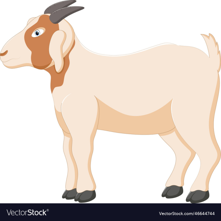 vectorstock,Cartoon,Cute,Goat,White,Isolated,Background,Animal,Vector,Comic,Happy,Bell,Food,Meat,Dairy,Agriculture,Farm,Colorful,Smile,Cattle,Mascot,Adorable,Breed,Illustration,Drawing,Grey,Nature,Milk,Standing,Zoo,Domestic,Creature,Horns,One,Mammal,Single,Livestock,Graphic