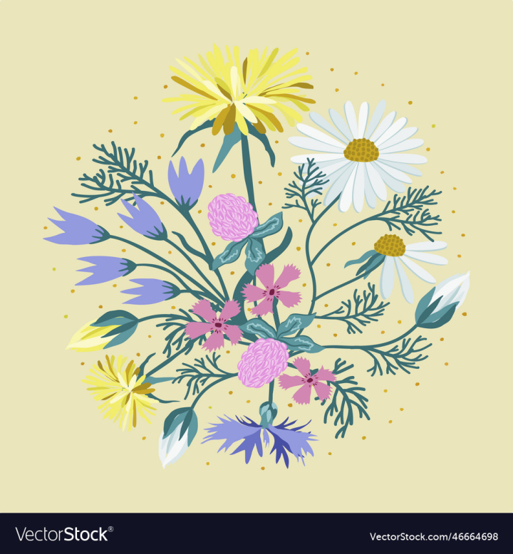 vectorstock,Floral,Bouquet,Decorative,Carnation,Circle,Cornflower,Forest,Background,Design,Drawing,Flower,Garden,Blossom,Leaf,Field,Green,Flora,Meadow,Gift,Decoration,Isolated,Dandelion,Botanical,Herbal,Countryside,Wildflower,Camomile,Wildflowers,Bluebells,Vector,Illustration,Bell,Retro,Petal,Summer,Vintage,Nature,Plant,Seasons,Spring,Natural,Wedding,Season,Village,Round,Romantic,Rural,Seasonal,Pastel,Rustic