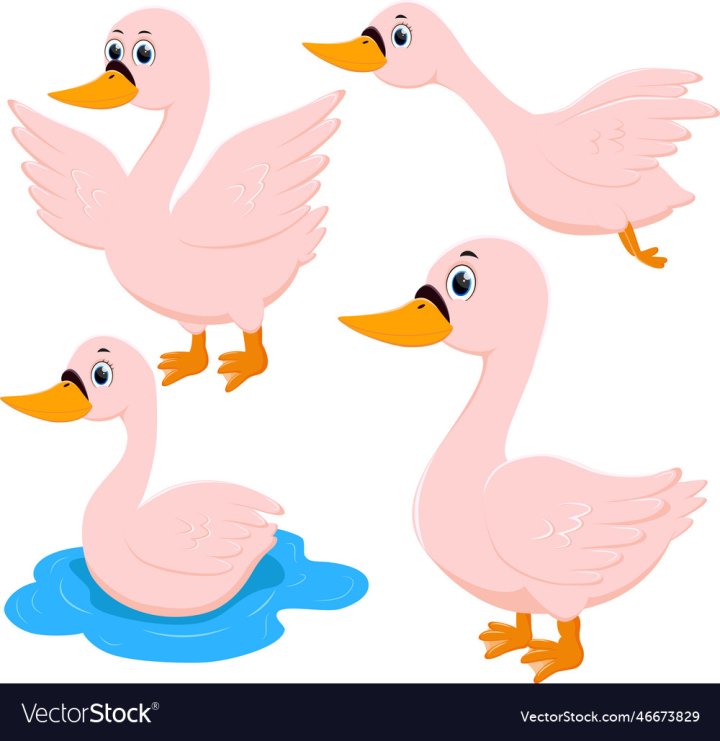 vectorstock,Cartoon,Goose,White,Background,Isolated,Animal,Illustration,Bird,Happy,Design,Drawing,Farming,Agriculture,Farm,Big,Domestic,Beak,Cute,Duck,Fowl,Creature,Funny,Fauna,Beautiful,Wildlife,Domesticated,Feathers,Avian,Vector,Pet,Nature,Meat,Wild,Walking,Young,Fur,One,Single,Production,Poultry,Furry,Livestock,Vertebrate,Gosling,Webbed,Macaw