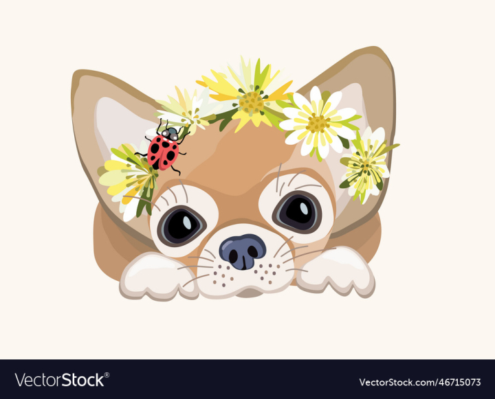 vectorstock,Dog,Decorative,Small,Chihuahua,Isolated,Animal,Ladybird,Vector,Background,Design,Summer,Flowers,Pet,Soft,Fun,Sitting,Looking,Domestic,Little,Canine,Mammal,Breed,Purebred,Doggy,Pedigree,Illustration,Cute,Cheerful,Drawing,Nature,Cartoon,Sweet,Mini,Puppy,Portrait,Fur,Funny,Head,Pup,Friend,Mexico,Adorable,Mexican,Doggie,Chiwawa