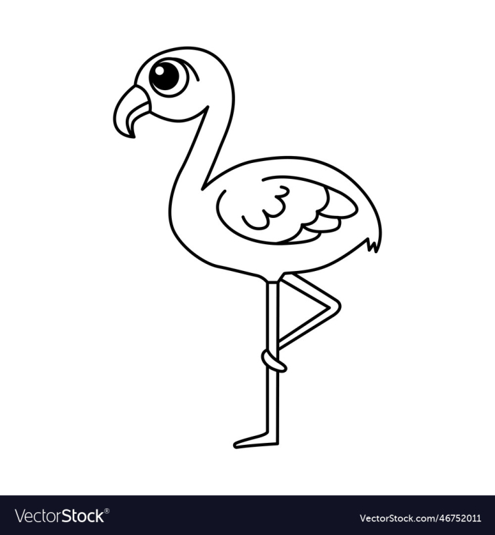 vectorstock,Cartoon,Flamingo,Animal,Vector,Illustration,Bird,Design,Backgrounds,Leg,Nature,Beauty,Zoo,Thailand,Beak,Cute,Decoration,Elegance,Claw,Neck,Alphabet,Animals,In,The,Wild,Multi,Colored,White,Color,Pink,Wildlife,Body,Part,Wing,Limb,Outline,Student,Teacher,Colors,Long,Standing,Education,Horizontal,Learning,Foot,Slim,Material,Concepts,Preschool,Beaker,Practicing,Exoticism,Clip,Art,Computer,Graphic,Cut,Out,No,People