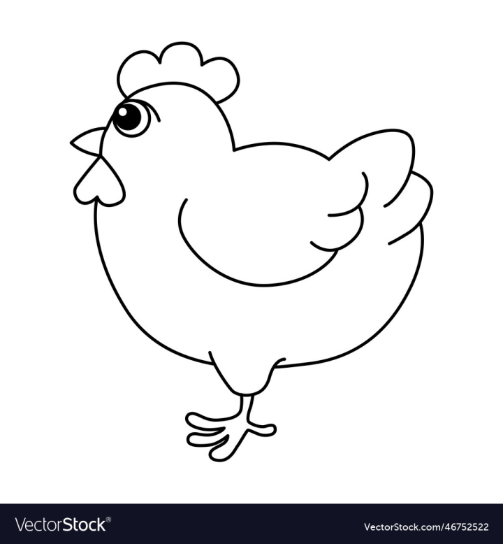 Chicken drawing hi-res stock photography and images - Alamy