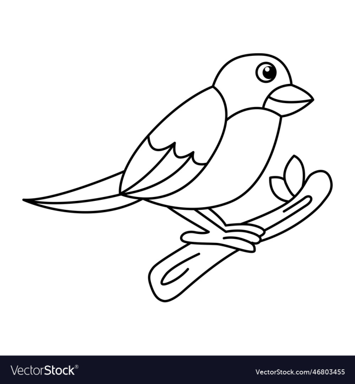 vectorstock,Cartoon,Page,Bird,Canary,Cute,Coloring,Book,Vector,Illustration,Design,Drawing,Ink,Drawn,Outline,Pet,Kid,Spring,Line,Hand,Doodle,Exercise,Children,Beautiful,Mascot,Friendly,Wildlife,Joyful,Preschool,Colouring,Graphic,Happy,White,Sketch,Stamp,Silhouette,Fun,Tropical,Life,Baby,Wild,Funny,Contour,Charming,Adorable,Monochrome,Scrapbook,Chubby,Fats,Vignetting,Art
