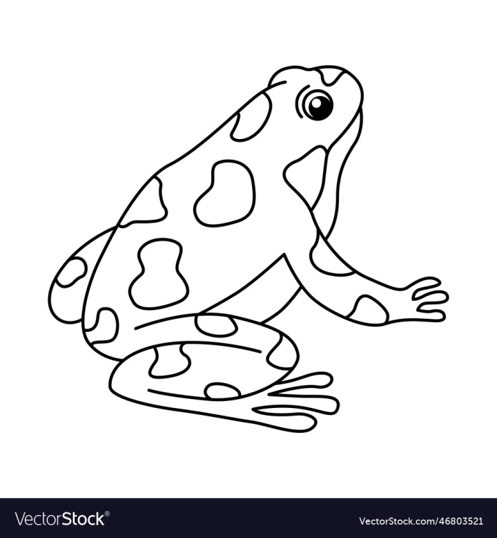 vectorstock,Cartoon,Page,Kids,Frog,Coloring,Book,Wildlife,Vector,Comic,Design,School,Game,Outline,Pet,Nature,Animal,Draw,Doodle,Education,Smile,Children,Painting,Colours,Amphibian,Kindergarten,Front,Preschool,Illustration,Art,Artwork,Clipart,Happy,Black,White,Drawing,Fun,Color,Abstract,Baby,Wild,Character,Activity,Funny,Little,Isolated,Childhood,Toad,Colouring,Vignetting