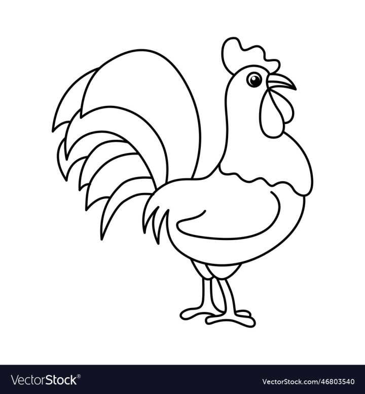 vectorstock,Cartoon,Rooster,Page,Cute,Animal,Vector,Illustration,Bird,Feather,Nature,Fun,Doodle,Farm,Book,Character,Humor,Mascot,Smiling,Happiness,Poultry,Hen,Livestock,Graphic,Artwork,Black,And,White,Cut,Out,Body,Part,Chicken,Wing,Print,Drawing,Drawn,Outline,Tail,Barn,Standing,Baby,Domestic,Walking,Smile,Funny,Year,Painting,Claw,Pets,Cockerel,Colouring,Vignetting,Art