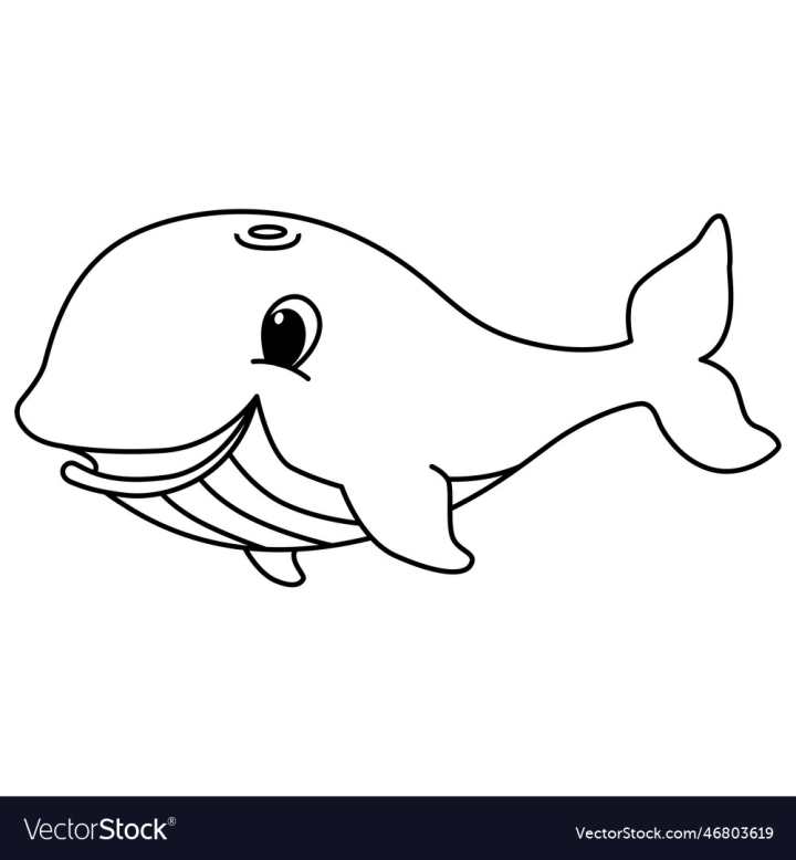 Blue Whale Color Activity Kids Stock Vector (Royalty Free) 1882444930 |  Shutterstock