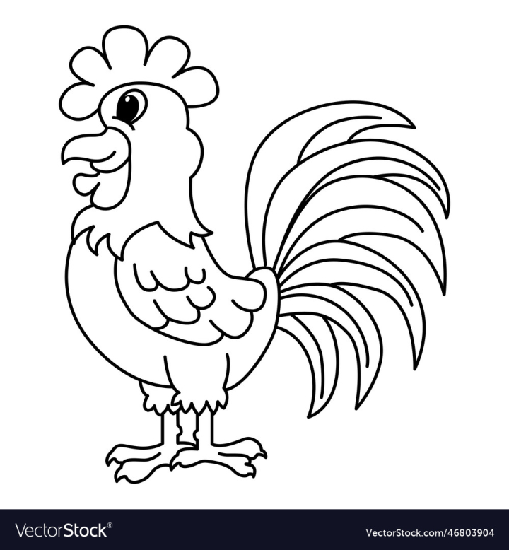 vectorstock,Cartoon,Rooster,Cute,Animal,Vector,Illustration,Bird,Feather,Tail,Fun,Barn,Standing,Farm,Walking,Characters,Humor,Mascot,Smiling,Happiness,Pets,Poultry,Livestock,Black,And,White,Cut,Out,Body,Part,Wing,Red,Nature,Beauty,Agriculture,Thailand,Beak,Claw,Hen,Cockerel,Horticulture,Crowing,Watching,Domestic,Animals,Baby,Chicken,Male,Color,Crow,Gait
