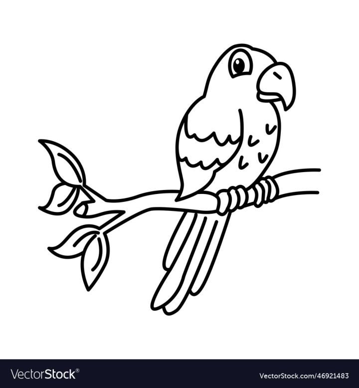 vectorstock,Cartoon,Page,Bird,Kid,Coloring,Animal,Book,Illustration,Forest,Black,White,Design,Jungle,Drawing,Feather,Nature,Tropical,Line,Celebrate,Child,Parrot,Character,Isolated,Clip,Painting,Parakeet,Graphic,Vector,Art,Clipart,Comic,School,Sketch,Ink,Outline,Dancing,Pet,Stylized,Talk,Fly,Doodle,Education,Smile,Mascot,Laugh,Safari,Colour,Kindergarten,Preschool,Image