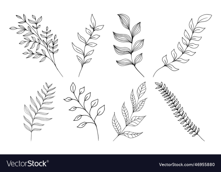 vectorstock,Leaf,Design,Symbol,Tree,Forest,Pattern,Backgrounds,Flower,Garden,Blossom,Summer,Icon,Modern,Nature,Plant,Twig,Organic,Season,Abstract,Botany,Herb,Vector,Illustration,Element,Lush,Foliage,Conceptual,Green,Color,Natural,Outline,Colors,Weather,Decoration,Ecosystem,Close Up,Leaving,Springtime,Single,Object,Group,Of,Objects,Beauty,In,Floral,Ornamental,Technique,Home,Decor,Medical,Condition,Banner,Sign,Branch,Part,Remote,Location,Stem