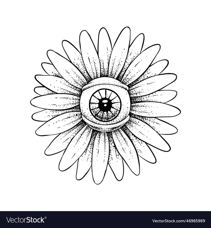 vectorstock,Daisy,White,Flower,Eyes,Happy,Face,Background,Retro,Design,Print,Summer,Vintage,Nature,Cartoon,Spring,Animal,Doodle,Card,Character,Cute,Smile,Funny,Collection,Isolated,Groovy,Graphic,Vector,Illustration,Art,Dark,Bird,Comic,Crazy,Floral,Contemporary,Line,Template,Sticker,Abstract,Symbol,Text,Poster,Positive,Tarot,Vibe,60s,70s,1970s,80s,Artwork