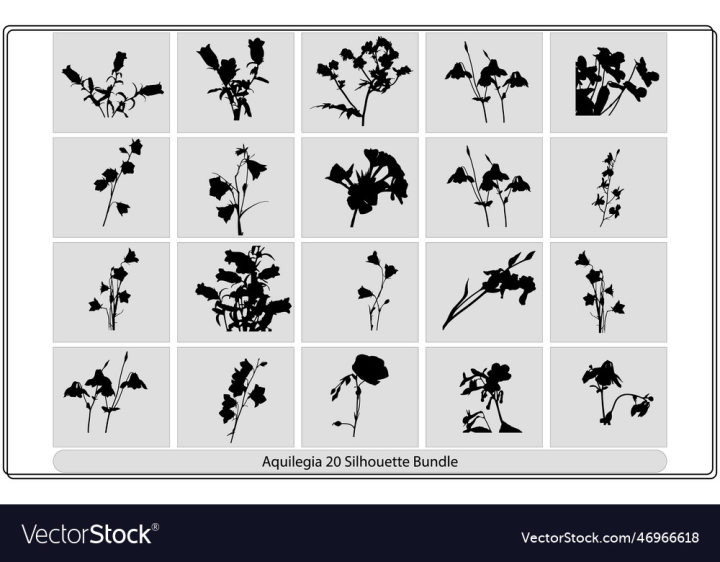 vectorstock,Flower,Paint,Wallpaper,Drawing,Sketch,Ink,Fall,Spring,Silhouette,Bud,Hand,Sticker,Element,Meadow,Ornament,Foliage,Colorful,Collection,Set,Tattoo,Texture,Closeup,Rustic,Wildflower,Watercolour,Sumi E,Art,Tree,Background,Drawn,Garden,Petal,Summer,Vintage,Floral,Plant,Leaf,Fashion,Flora,Wild,Decoration,Isolated,Textile,Botanical,Watercolor,Aquilegia,Illustration