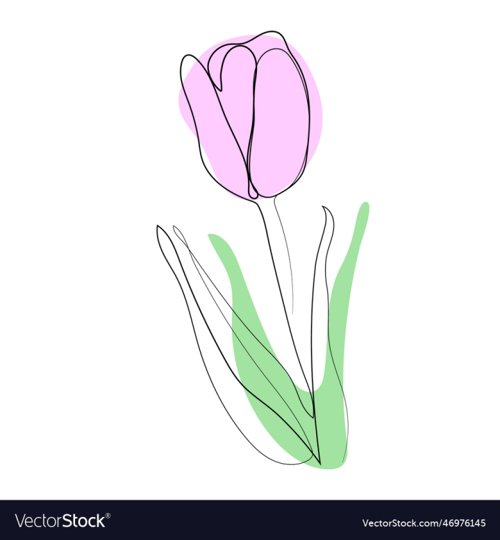 vectorstock,Stylized,Tulip,Flower,Spot,Art,Black,Background,Design,Style,Garden,Blossom,Pink,Leaf,Line,Bloom,Abstract,Element,Elegant,Decoration,Contour,Isolated,Beautiful,Botany,Illustration,Artwork,Floral,Nature,Silhouette,Object,Green,Shape,Symbol,Logotype,Stroke,Hand Drawn,Vector
