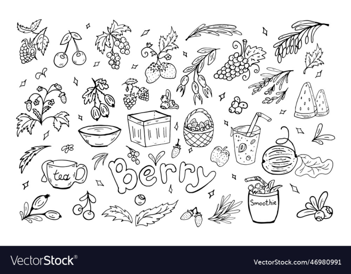 vectorstock,Doodle,Summer,Strawberry,Art,Set,Berries,Food,Berry,Healthy,Vector,Icon,Leaf,Line,Cherry,Fruit,Isolated,Blackberry,Linear,Raspberry,Blueberry,Gooseberry,Barberry,Currant,Cranberry,Rosehip,Viburnum,Cornel,Elderberry,Lingonberry,Illustration,Hand,Drawn,Wild,Rose,Herb,Sticker,Pack,Outline,Nature,Plant,Fresh,Eat,Tea,Grape,Nutrition,Vitamin,Vegetarian,Watermelon,Group,Of,Objects,Eating,C,Garden