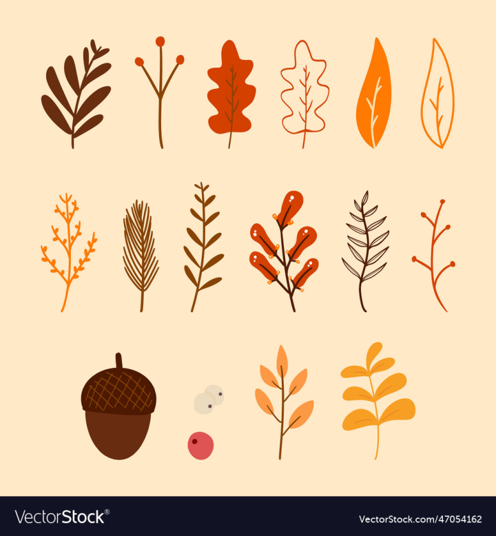 vectorstock,Autumn,Fall,Leaves,Leaf,Set,Season,Illustration,Tree,Background,Design,Floral,Nature,Plant,Orange,Foliage,Decoration,Vector,Forest,Red,Natural,Yellow,Abstract,Element,Isolated,Texture