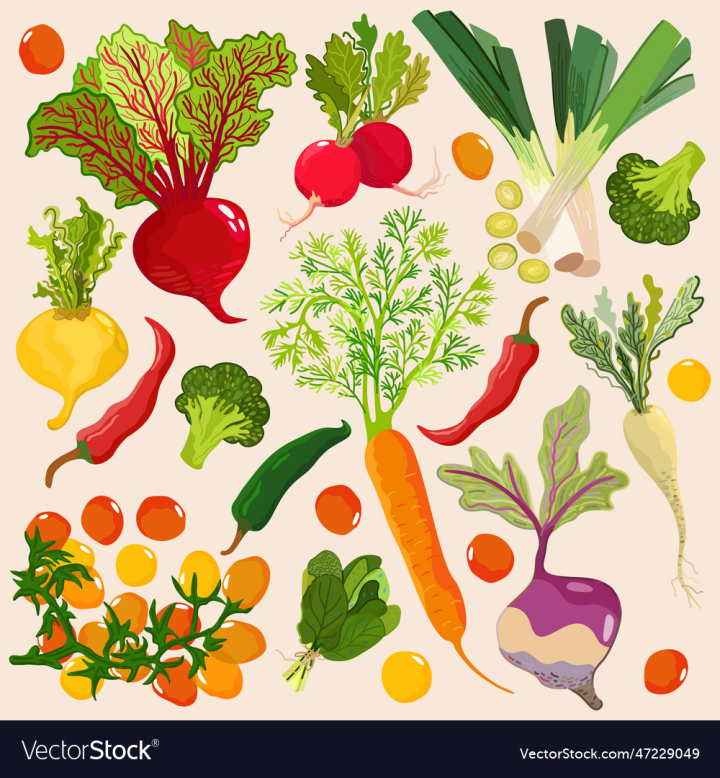 vectorstock,Vegetable,Collection,Vegetables,Summer,Nature,Food,Isolated,Beetroot,Greenery,Carrot,Broccoli,Carrots,Arugula,Garden,Menu,Agriculture,Bright,Green,Fresh,Cabbage,Colorful,Harvest,Freshness,Kitchen,Healthy,Delicious,Nutrition,Ingredient,Diet,Pepper,Herb,Culinary,Tomato,Radish,Chili,Turnip,Rutabaga,Plant,Organic,Set,Seasonal,Taste,Vitamin,Vegetarian,Product,Vitamins,Vegan,Spinach,Veggies,Vector