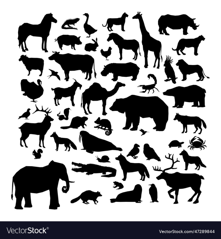 vectorstock,Animal,Silhouettes,Africa,Dog,Squirrel,White,Icon,Silhouette,Set,Isolated,Black,Design,Pet,Eagle,Chicken,Cow,Panther,Wild,Horse,Pig,Bison,Goat,Elephant,Monkey,Owl,Turtle,Safari,Wildlife,Antelope,Rhino,Lioness,Vector,Bird,Nature,Farm,Zoo,Zebra,Lion,African,Collection,Fauna,Crocodile,Giraffe,Ostrich,Beaver,Illustration