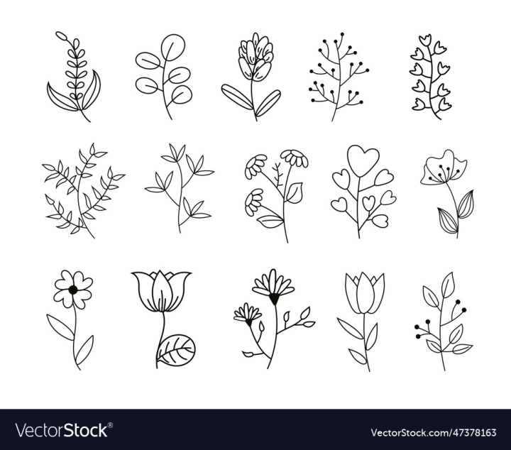 vectorstock,Flower,Outline,Floral,Doodle,Line,Art,Tree,Background,Element,Branch,Decoration,Illustration,Drawing,Drawn,Nature,Plant,Leaf,Simple,Wedding,Foliage,Collection,Set,Isolated,Flourish,Botanical,Herb,Hand Drawn,Graphic,Vector,Forest,Jungle,Print,Luxury,Garden,Icon,Contemporary,Label,Border,Letter,Silhouette,Exotic,Ornament,Decor,Invitation,Linear,Eco,Herbal,Minimal,Spiritual,Divider