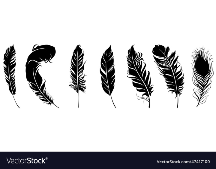 Feather,Set,vectorstock,Art,Quill,Silhouette,Design,Illustration,Black,Line,White,Nature,Soft,Air,Antique,Pen,Sign,Web,Fly,Shape,Flat,Element,Symbol,Elegant,Flying,Collection,Isolated,Curved,Furry,Pictogram,Softness,Pillow,Lightweight,Plumelet,Graphic,Vector,Bird,Background,Drawing,Sketch,Icon,Wing,Writing,Single,Elegance,Smooth,Fluffy,Allegory,Image