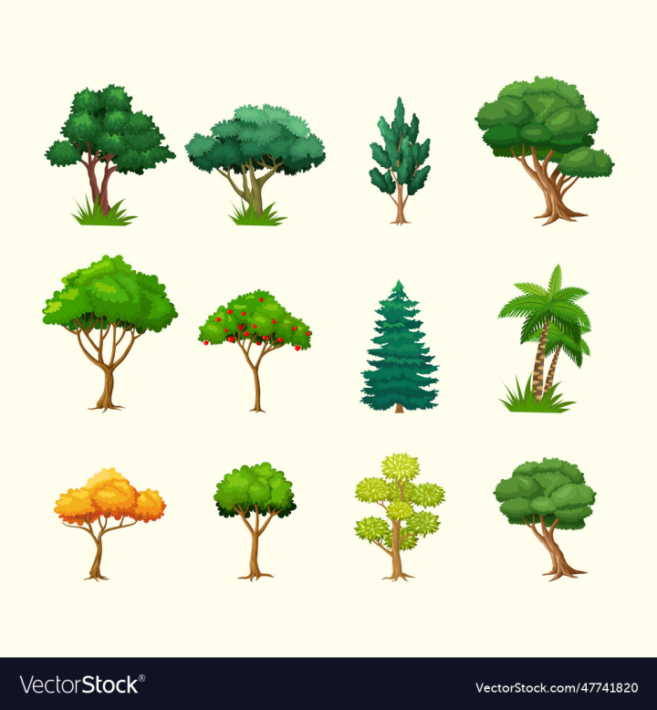 vectorstock,Tree,Collection,Vector,Illustration,Forest,Background,Garden,Summer,Icon,Floral,Nature,Plant,Decorative,Branch,Leaf,Silhouette,Object,Natural,Organic,Green,Season,Life,Wood,Symbol,Set,Isolated,Environment,Growth,Botanical,Ecology,Eco,Graphic,White,Landscape,Modern,Park,Cartoon,Spring,Sign,Abstract,Element,Exotic,Coconut,Palm,Foliage,Pine,Trunk,Oak,Botany
