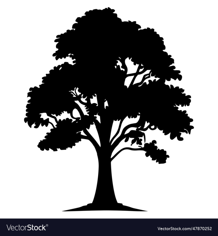 vectorstock,Tree,Silhouette,Icon,Logo,Outline
