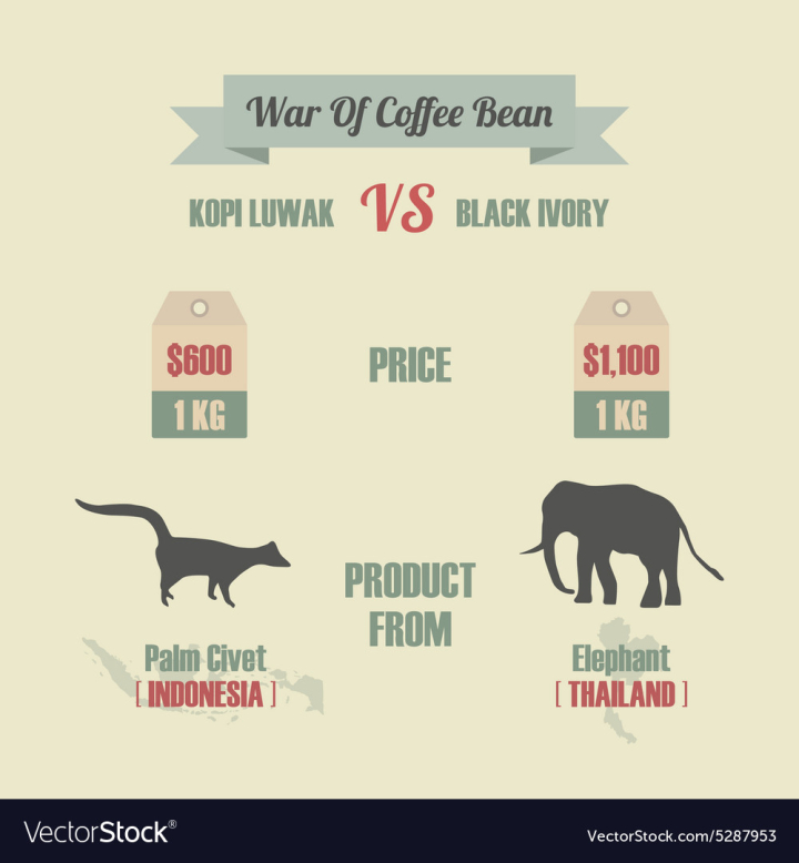 coffee,luwak,kopi,infographic,map,bean,elephant,indonesia,character,icon,expensive,business,cartoon,ivory,brand,animal,concept,background,dollar,classic,country,flat,info,old,fight,marketing,kilogram,isolated