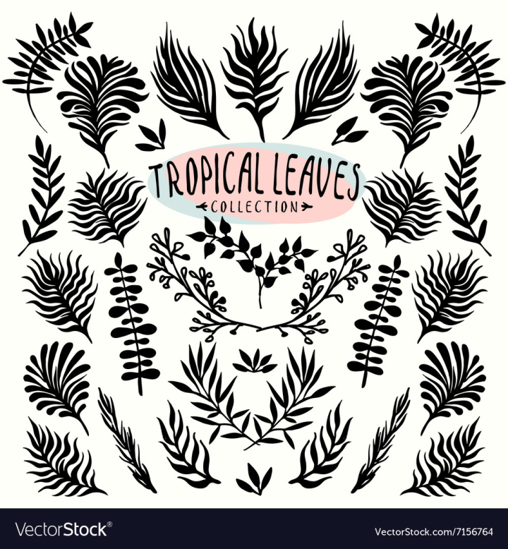 vectorstock,Leaves,Leaf,Tropical,Flower,Drawn,Collection,Botanical,Ink,Pattern,Ornaments,Spring,Doodle,Garden,Vintage,Floral,Plant,Decoration,Tribal,Retro,Blossom,Template,Element,Print,Summer,Abstract,Exotic,Ornament,Date,Decor,Diy