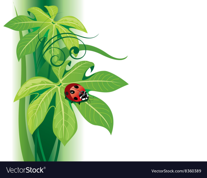 leaf,leaves,ladybug,ladybird,summer,animal,green,pretty,insect,cute,backdrop,vine,spring,plant,nature,swirl,twirl,botanical,bright