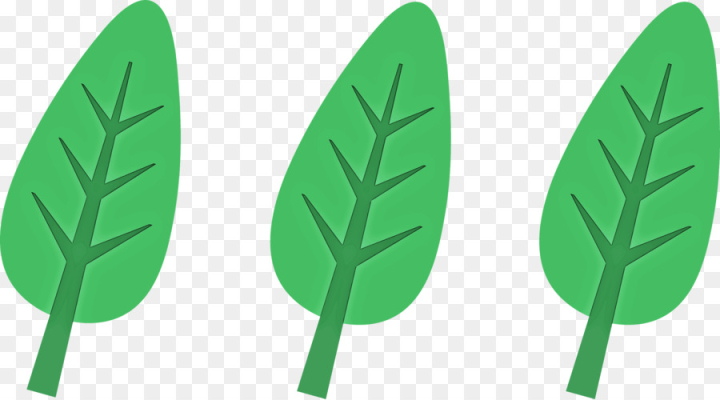 green,leaf,plant,grass,png