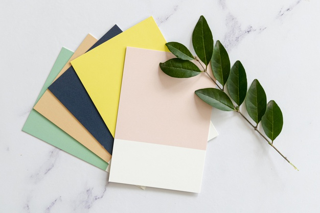 neat,lay,swatches,minimalistic,swatch,mock,composition,plain background,plain,horizontal,flat lay,palette,top view,top,colourful,up,view,workspace,colour,creativity,pastel,desk,plant,flat,colorful,color,mockup,background