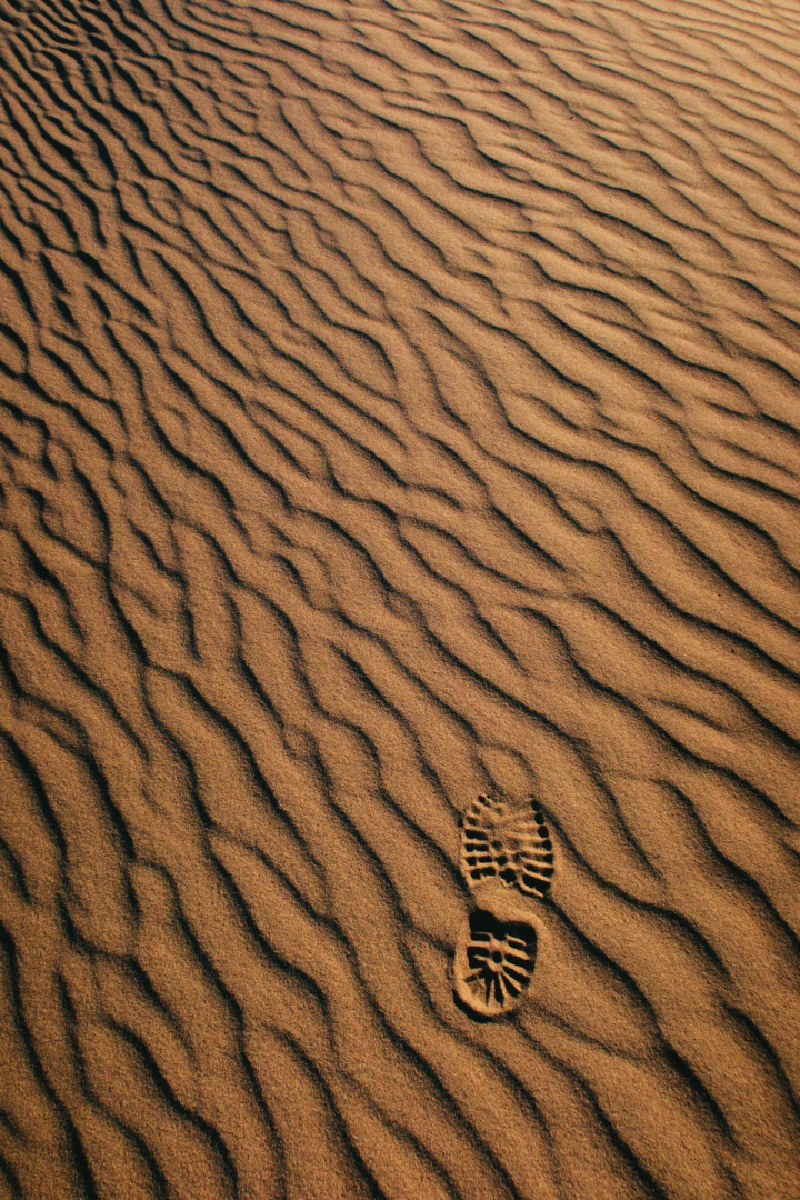 arid,background,desert,dry,dune,earth surface,pattern,sand,texture
