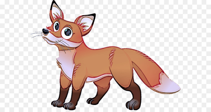  cartoon,red fox,swift fox,fox,snout,png